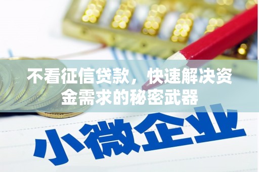 白山不看征信贷款，快速解决资金需求的秘密武器