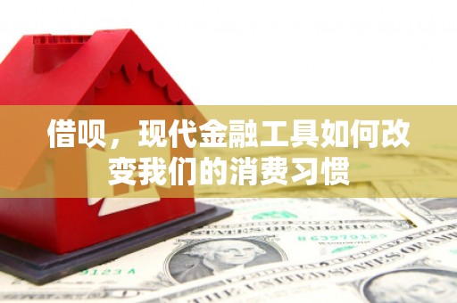 白山借呗，现代金融工具如何改变我们的消费习惯