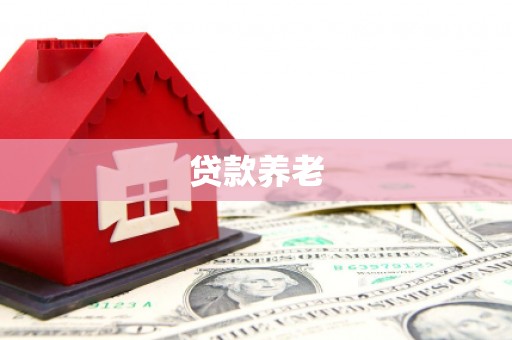 白山贷款养老