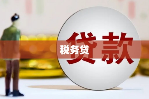 白山税务贷