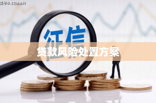 白山贷款风险处置方案