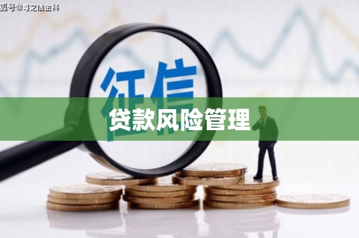 白山贷款风险管理
