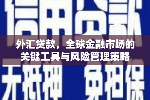 白山外汇贷款，全球金融市场的关键工具与风险管理策略
