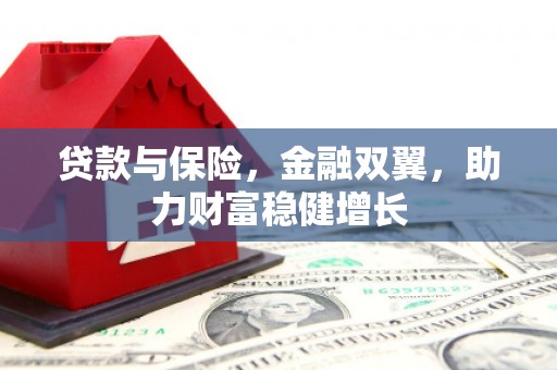 白山贷款与保险，金融双翼，助力财富稳健增长