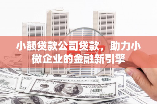 白山小额贷款公司贷款，助力小微企业的金融新引擎