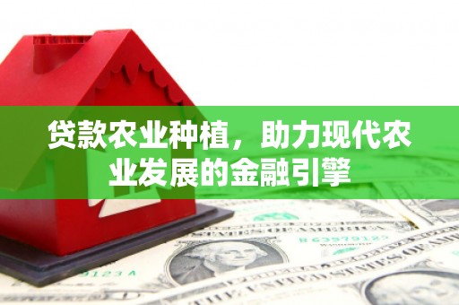 白山贷款农业种植，助力现代农业发展的金融引擎