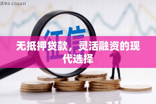白山无抵押贷款，灵活融资的现代选择