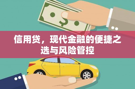 白山信用贷，现代金融的便捷之选与风险管控