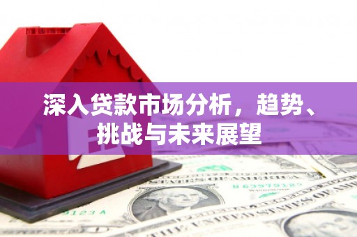 白山深入贷款市场分析，趋势、挑战与未来展望