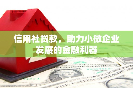 白山信用社贷款，助力小微企业发展的金融利器