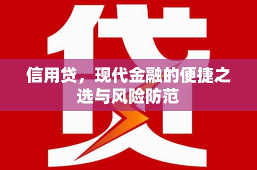 白山信用贷，现代金融的便捷之选与风险防范