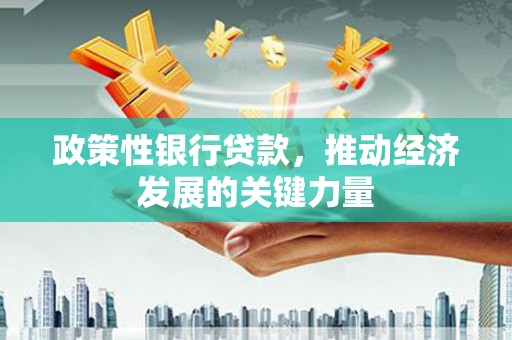 白山政策性银行贷款，推动经济发展的关键力量