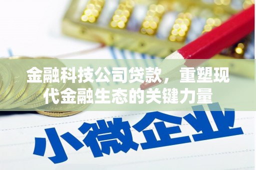 白山金融科技公司贷款，重塑现代金融生态的关键力量