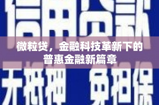 白山微粒贷，金融科技革新下的普惠金融新篇章
