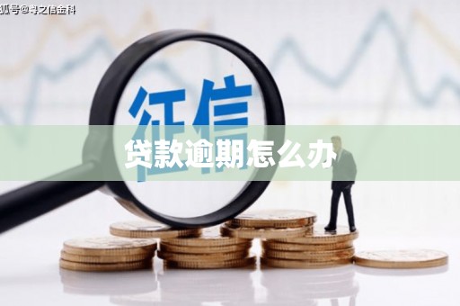 白山贷款逾期怎么办