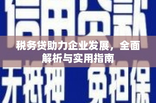 白山税务贷助力企业发展，全面解析与实用指南