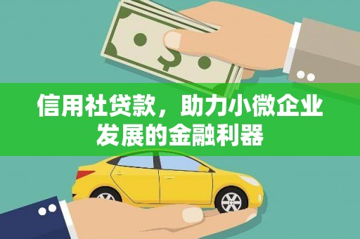 白山信用社贷款，助力小微企业发展的金融利器