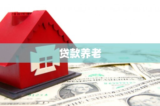 白山贷款养老