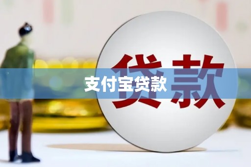 白山支付宝贷款