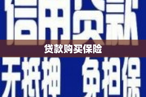 白山贷款购买保险