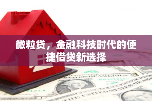 白山微粒贷，金融科技时代的便捷借贷新选择