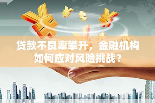 白山贷款不良率攀升，金融机构如何应对风险挑战？