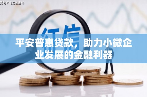 白山平安普惠贷款，助力小微企业发展的金融利器