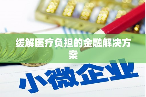 白山缓解医疗负担的金融解决方案
