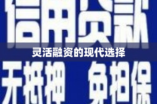 白山灵活融资的现代选择