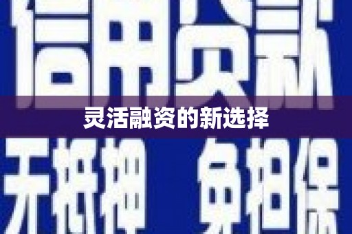 白山灵活融资的新选择