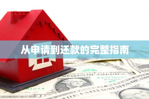 白山从申请到还款的完整指南