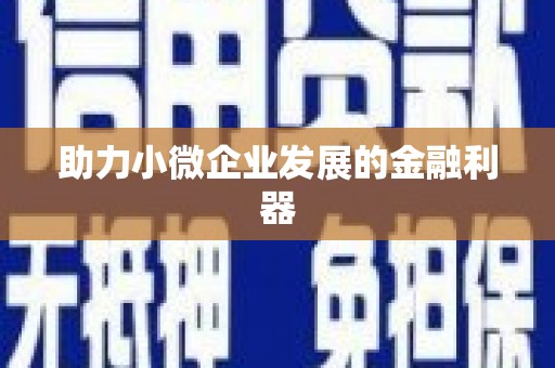 白山助力小微企业发展的金融利器