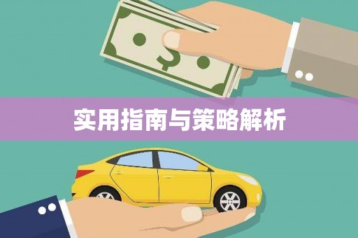 白山实用指南与策略解析