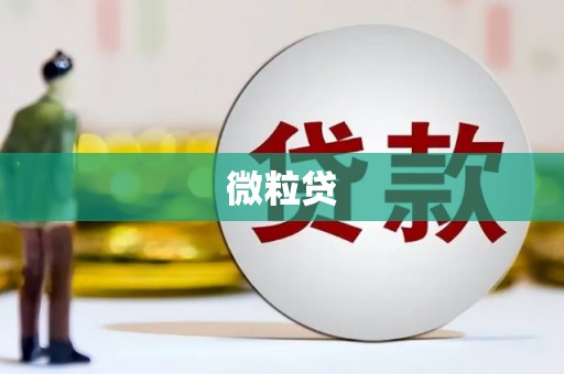 白山微粒贷