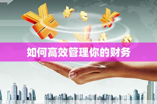 白山如何高效管理你的财务