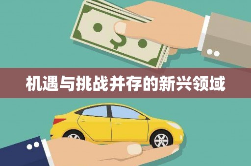 白山机遇与挑战并存的新兴领域