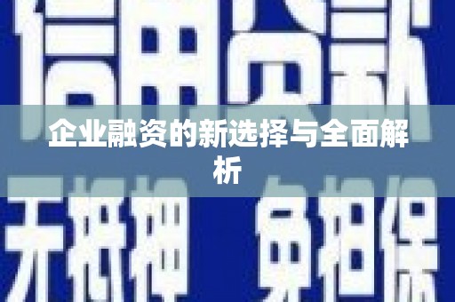 白山企业融资的新选择与全面解析