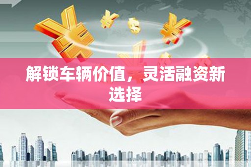 白山解锁车辆价值，灵活融资新选择