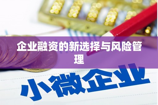 白山企业融资的新选择与风险管理