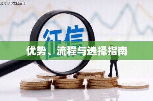 白山优势、流程与选择指南