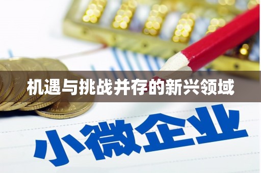白山机遇与挑战并存的新兴领域
