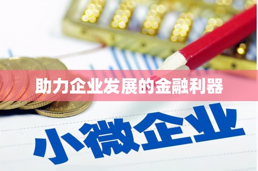 白山助力企业发展的金融利器