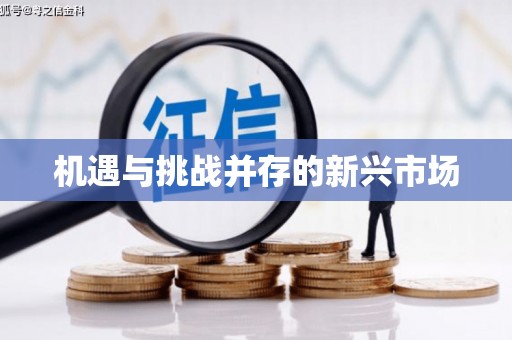 白山机遇与挑战并存的新兴市场