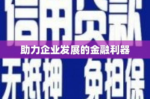白山助力企业发展的金融利器