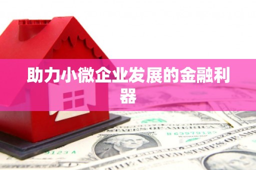 白山助力小微企业发展的金融利器