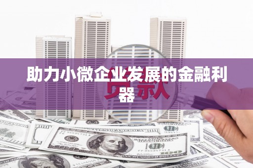 白山助力小微企业发展的金融利器