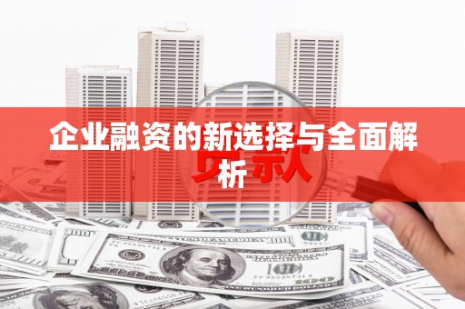 白山企业融资的新选择与全面解析