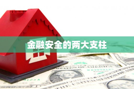 白山金融安全的两大支柱