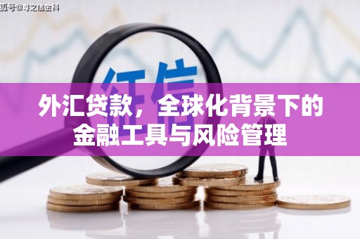 白山外汇贷款，全球化背景下的金融工具与风险管理
