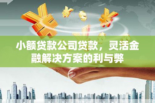 白山小额贷款公司贷款，灵活金融解决方案的利与弊
